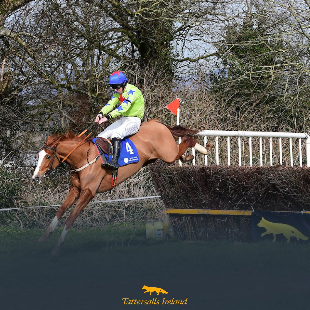 The Monbeg team enjoyed a fruitful spring campaign with Derby Sale graduates, and a name to note is Midnight Jukebox.

He won the 4yo maiden at Castlelands in early March, and was subsequently sold for £155,000 at the Tattersalls Festival Sale.

#DerbySale