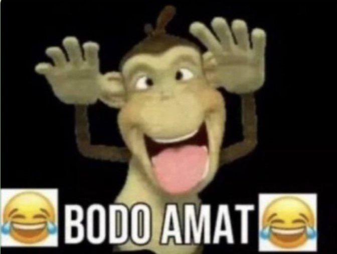 alyssa🐈‍⬛ (@kittyaily) on Twitter photo 