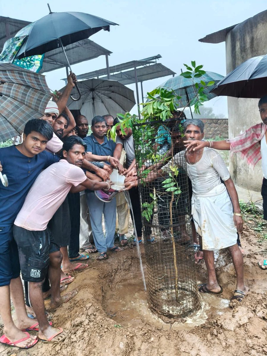 सामाजिक सुधार की पहल करते हुए भामाशाह चेतराम बैरवा जी ने मृतक छोटे भाई संजय बैरवा की अस्तियों को गंगा विसर्जन की जगह उनकी अस्तिया लेकर पाँच पेड़ लगाए है 
बैरवा महा पंचायत में समाज ने यही पहल की थी बैरवा समाज में मृतक व्यक्ति अस्तियों को गंगा विसर्जन की जगह अपने घर पर या खेत में..