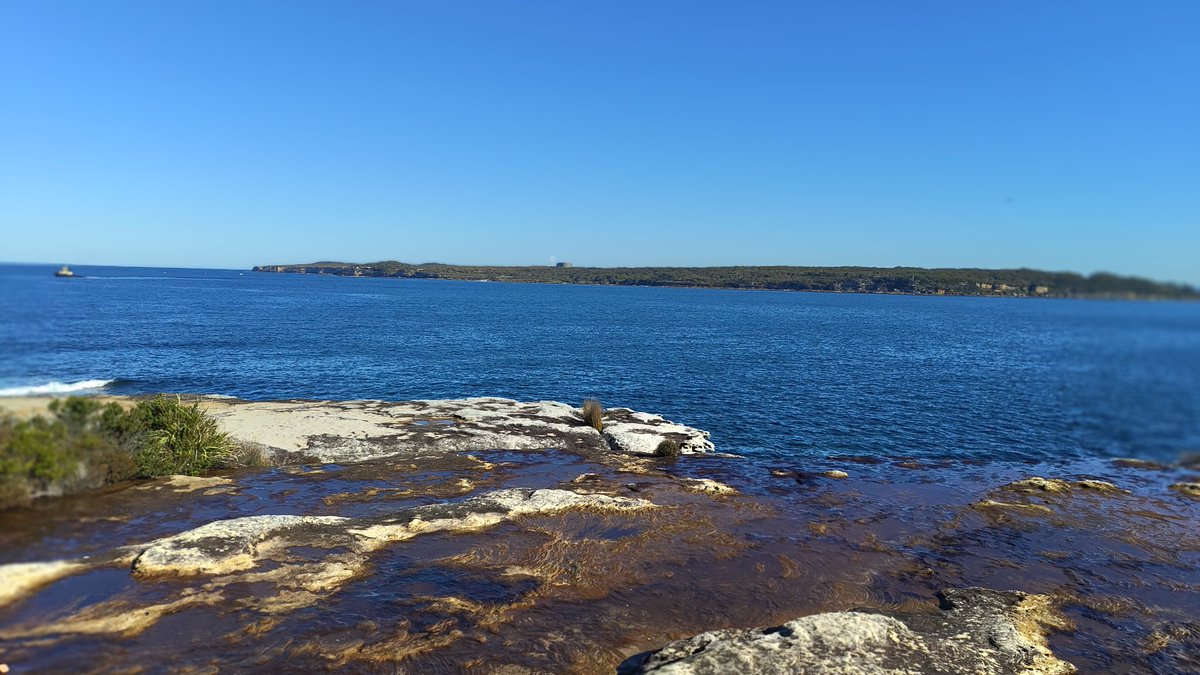 Touching grass, water? #openseatouchgrass