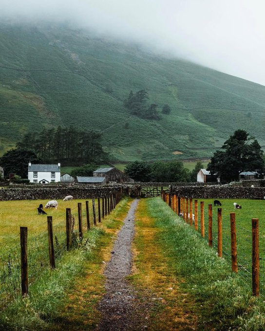 Photography by Adam Firman