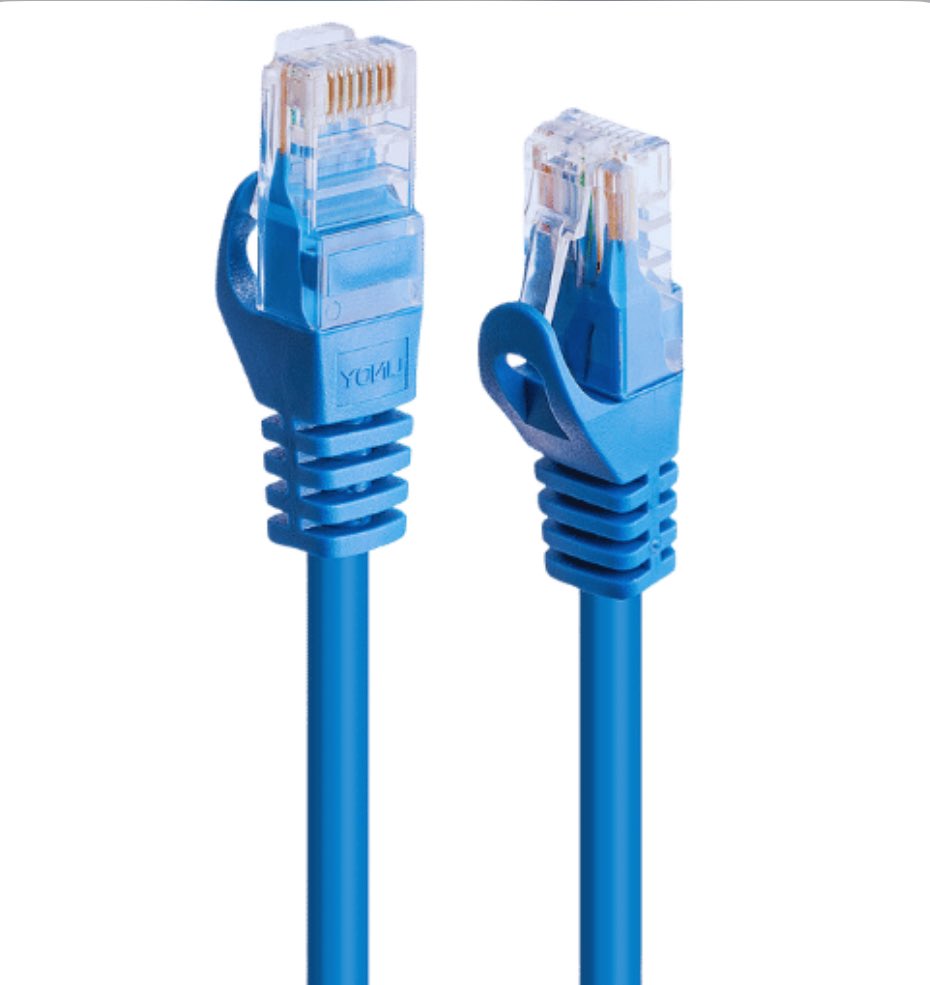 the whole world runs off the Cat5 Ethernet cable but she's the type to sit back, observe and remain humble