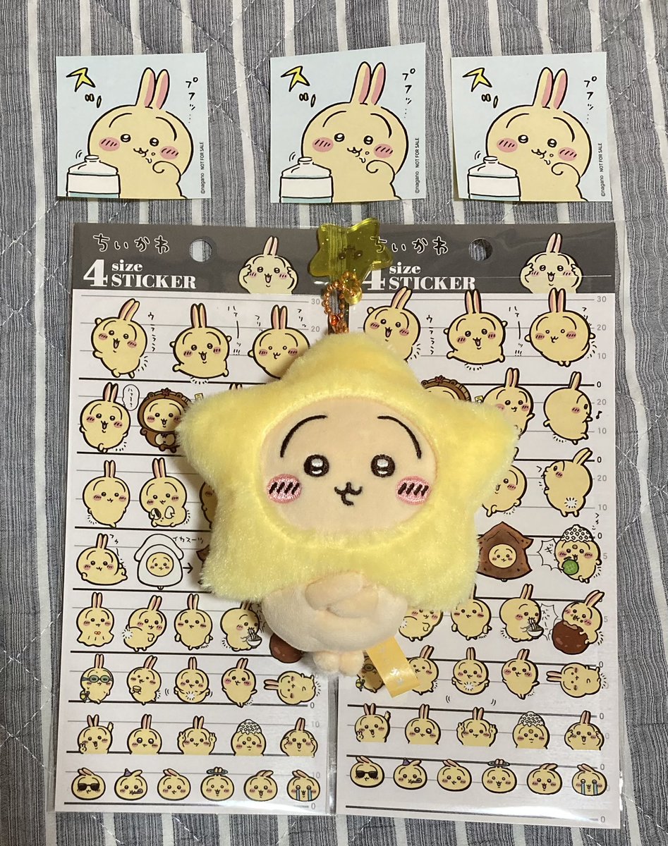 うさぎステッカー、色んなところに
貼っちゃお⭐︎