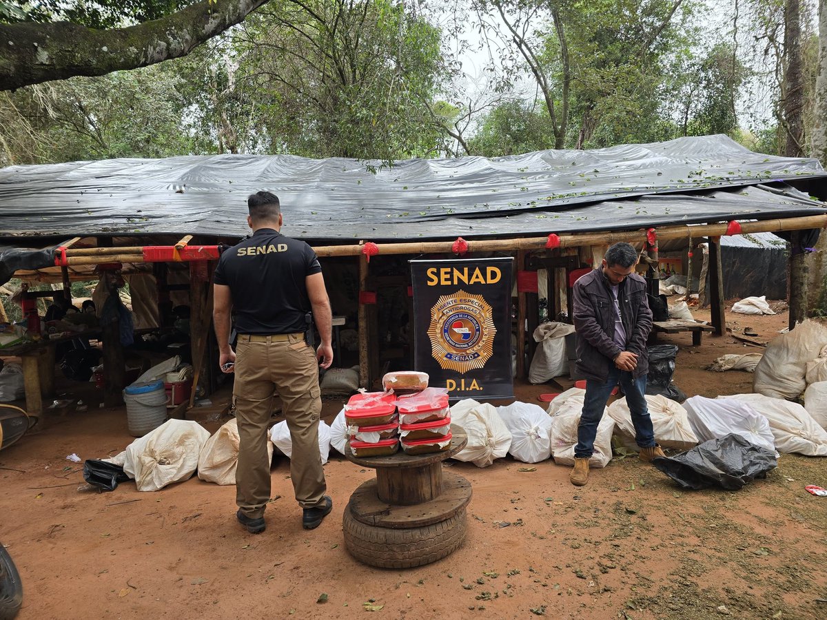 agparaguay's tweet image. .#OPERACIÓNTORMENTA
La @Senad_py desarticular una megaestructura de procesamiento y tráfico de marihuana concentrada en Karapã’i
Fue en el marco de la Operación Tormenta en la zona de Karapã’i, donde se logró desmantelar una estructura criminal de gran escala dedicada al…