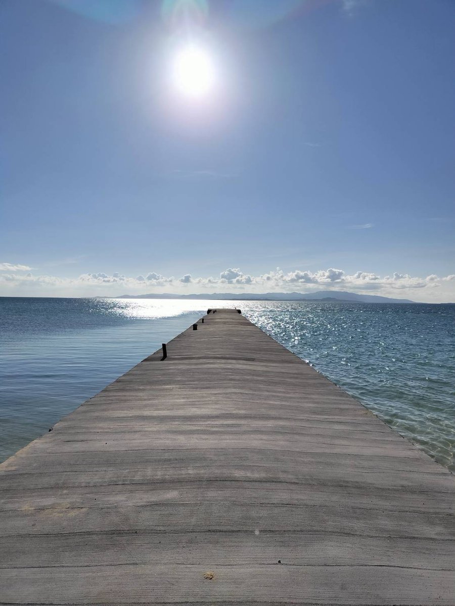 明日の6月21日(土)は

●夏至

で運命が切り替わる"超超超開運日"です。

強力な宇宙エネルギーが降り注ぎ"願望"が叶いやすいと言われてます。

一緒に心が喜ぶ1日にしていきましょう。

このメッセージを目にした幸運な方は…

ぜひリポストでご縁ある方に"お福分け"してあげてくださいね！