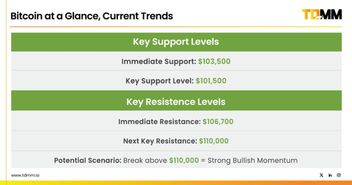 TDMM | TradeDog Market Manager tweet media