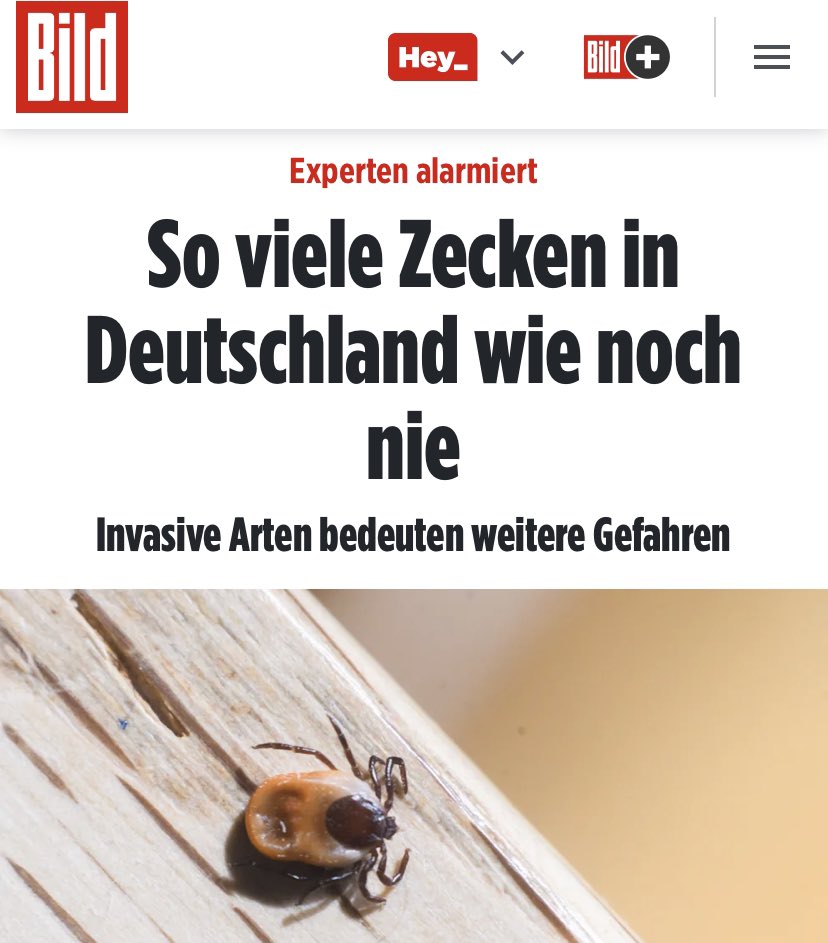 Invasive Arten in Deutschland sind nicht nur bei den Tieren eine große Gefahr.