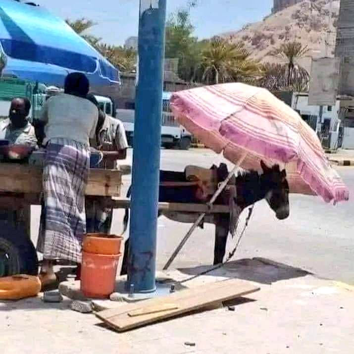 انسانیت کی کتاب کا پہلا حرف احساس اور رحم دلی ہے💖