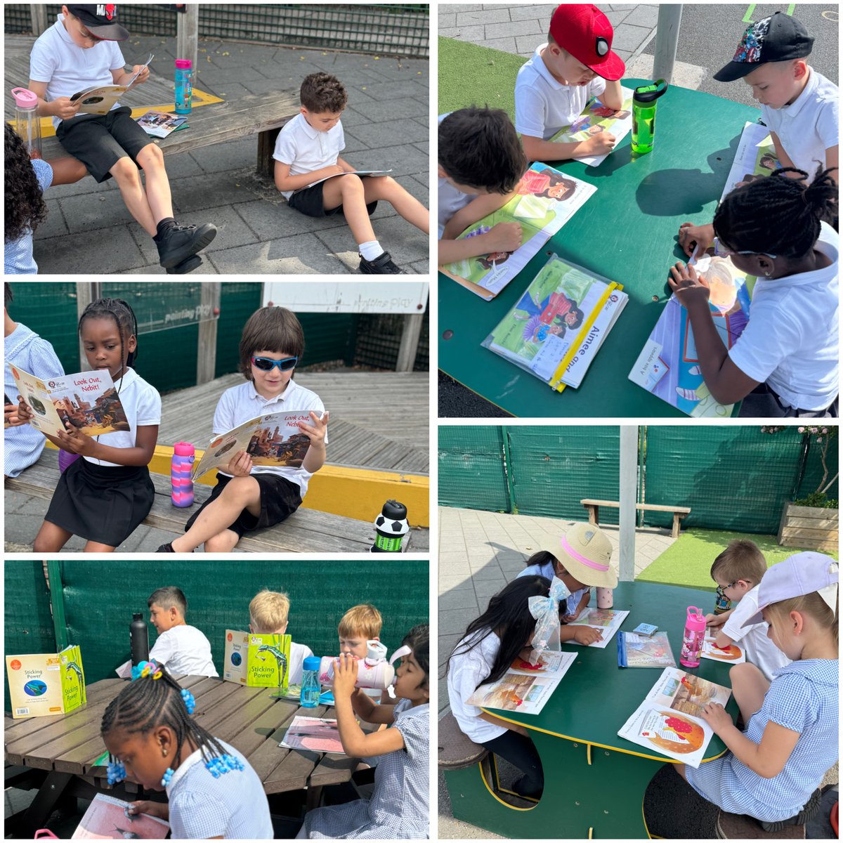 Hazel enjoyed reading in the sunshine this  morning ☀️📖