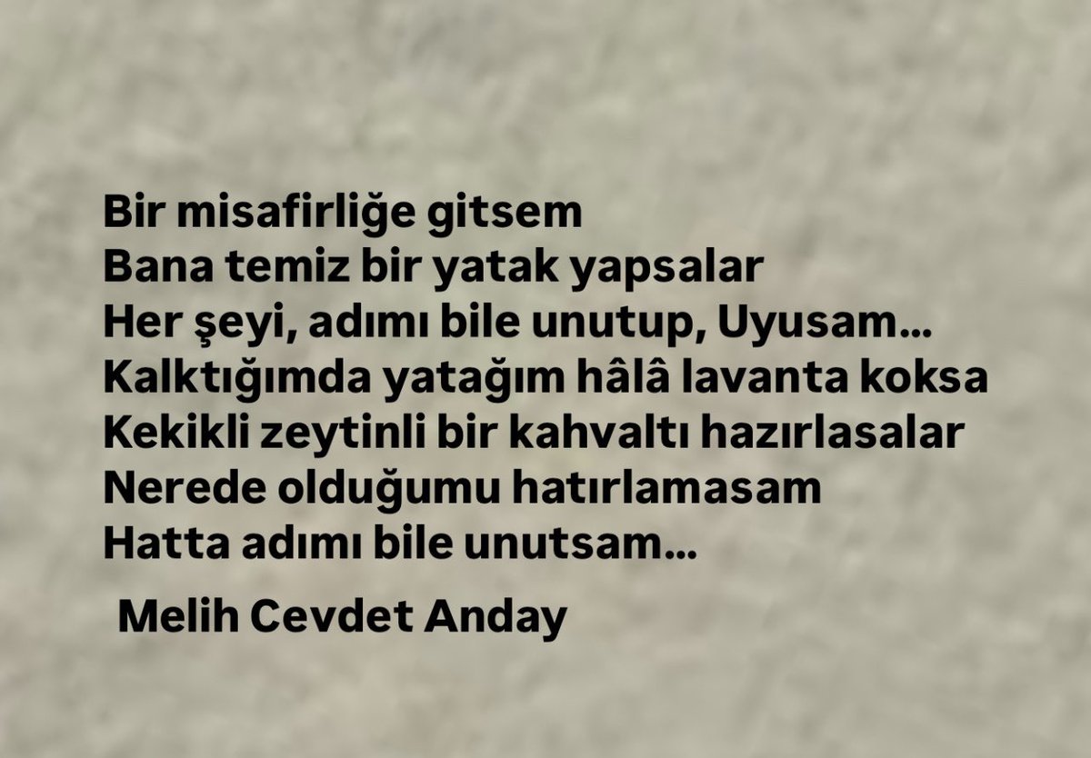 Melih Cevdet Anday şiirleri, sanki çocukken babaannenin somyasında öğle uykusuna dalmak gibi…🍀
