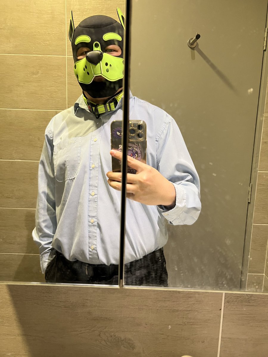 正装胖傻狗子 嗷呜～