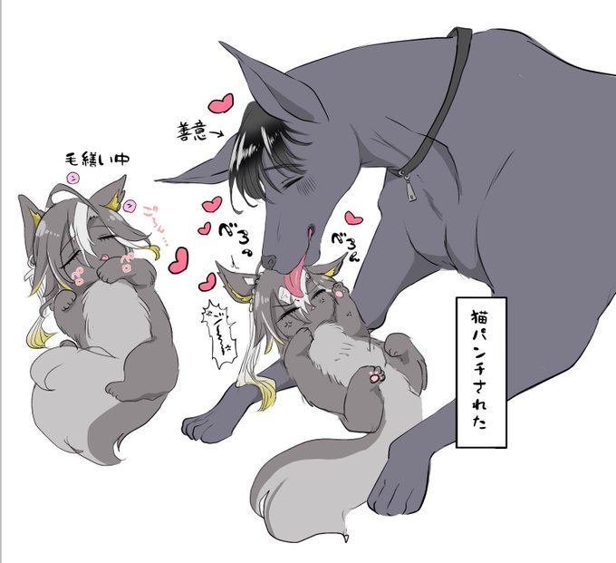 大型トレ犬とジャニ猫 