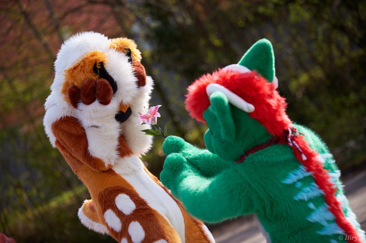 🌺 A flower for <a href="/ShikaBleat/">Shika</a> to #FursuitFriday ? 🌺

📸: <a href="/HiryuTheDragon/">Hiryū</a> 💚