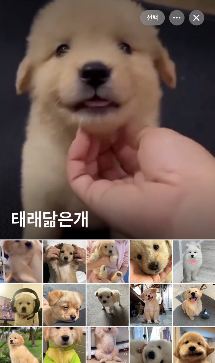 ㉻㉻㉻㉻㉻㉻㉻㉻㉻㉻㉻㉻㉻㉻㉻㉻㉻㉻㉻㉻㉻㉻