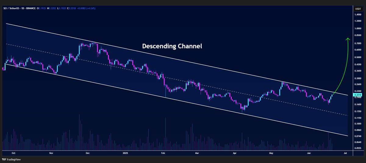 #SEI/USDT is preparing to break out of the descending channel pattern on the daily timeframe🔍

Time to rally🚀