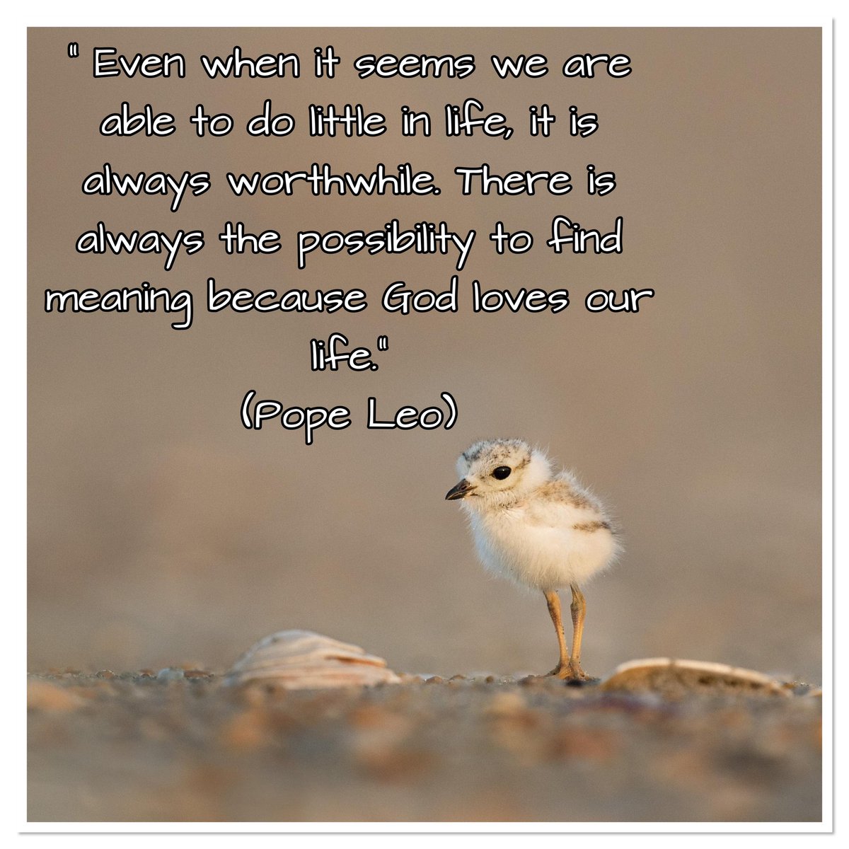 A thought on the day when MPs are voting on assisted suicide in England &amp; Wales
Some people think our friends in SPRED can do little but Pope Leo says,

“ Even when it seems we are able to do little in life, it is always worthwhile … because God loves our life.”