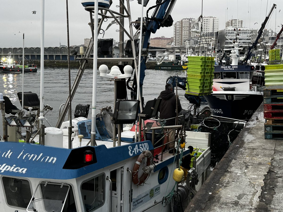 🐟🔥 Festival de la sardina de #SanJuan 

Hoy en el Muro se han descargado 137 toneladas de sardina (ayer fueron 109 Tn), de un total de 38 cerqueiros (ayer 32 barcos). Con más tamaño y calidad esta vez, en subasta en la Lonja alcanzó los 7€/kg y en los mercados va a 9€/kg.