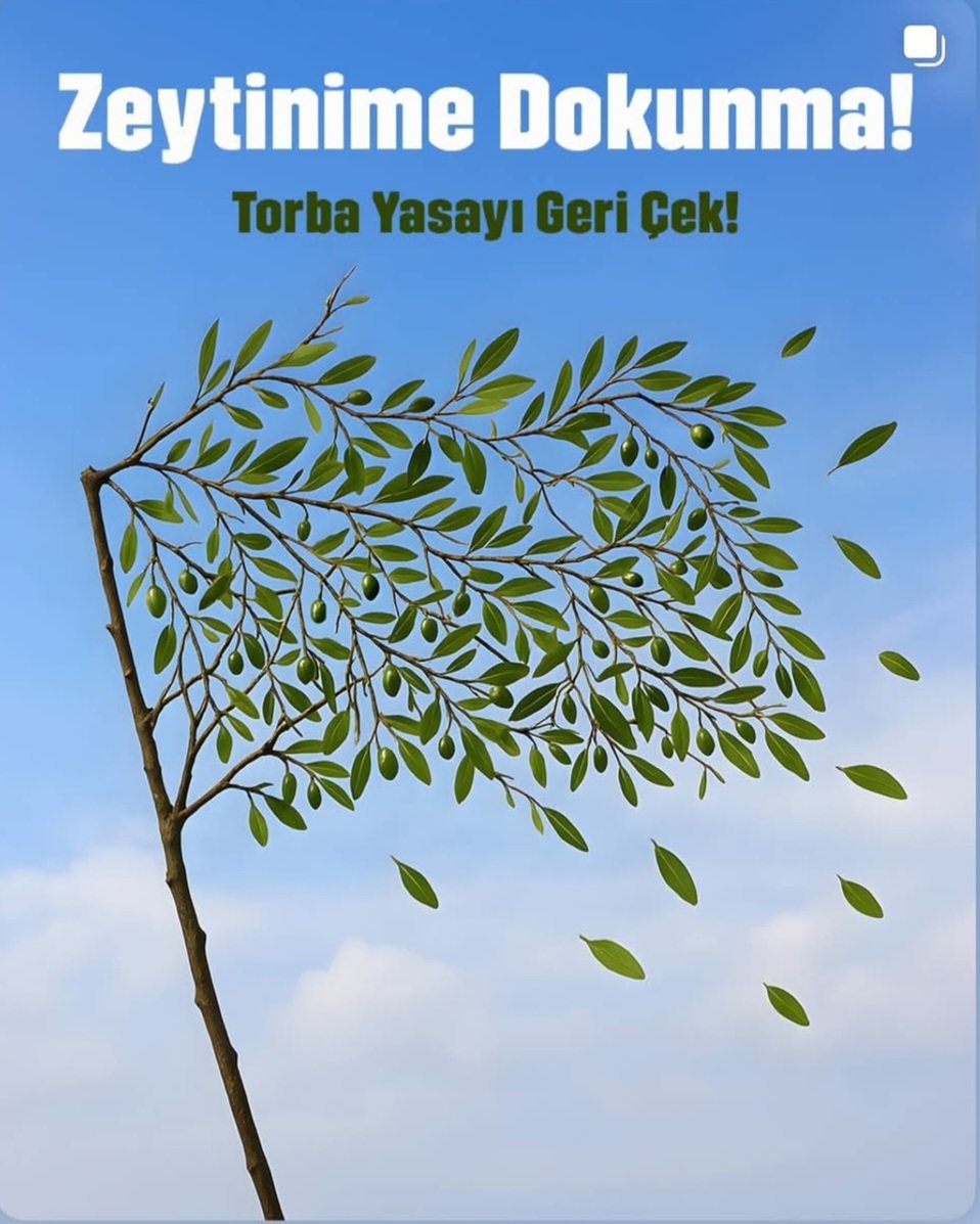 #ZeytinimeDokunma