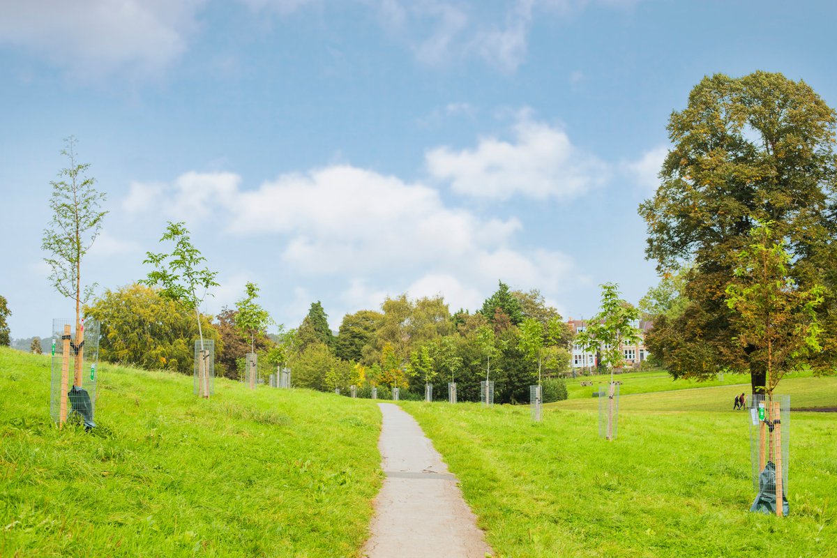 It's not just us humans who benefit from the longest day of the year, trees are able to make the most of all the sunlight available during the Summer Solstice ☀️🌳

Surely that's a reason for everyone to celebrate?