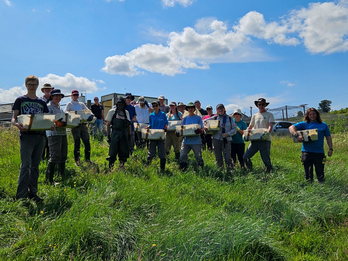 Eden Rivers Trust (@edenriverstrust) on Twitter photo Today saw our final #watervole release in the Lowther catchment. Thanks to all our vole-unteers & guests who came out to help us reach a total of 750 water voles released to bring back Ratty to the Lakes!
Thanks to partners <a href="/EnvAgencyNW/">Env Agency NW</a> and Cumbria Connect for their support. Today saw our final #watervole release in the Lowther catchment. Thanks to all our vole-unteers & guests who came out to help us reach a total of 750 water voles released to bring back Ratty to the Lakes!
Thanks to partners <a href="/EnvAgencyNW/">Env Agency NW</a> and Cumbria Connect for their support.