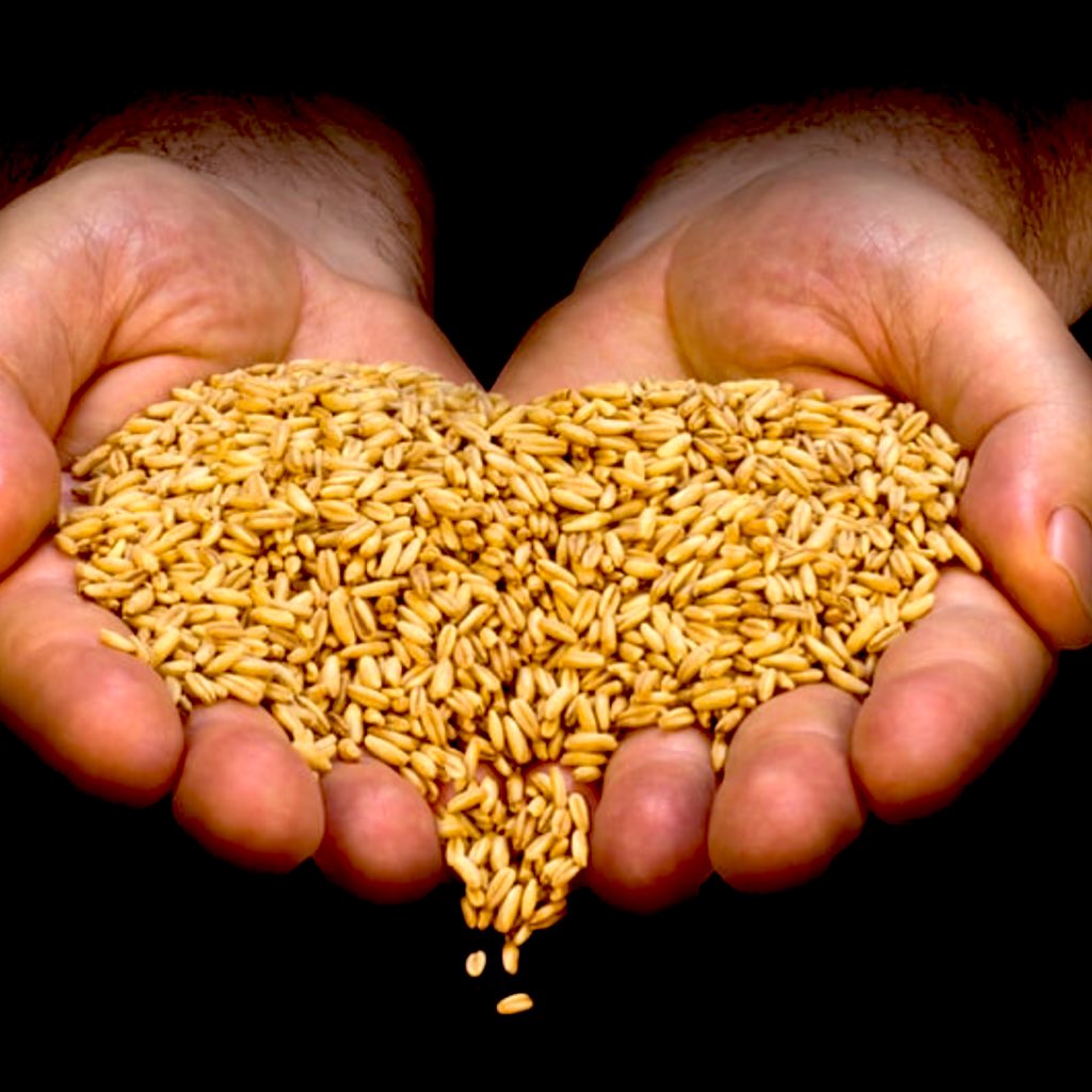 Abdullah Yuyucu tweet media