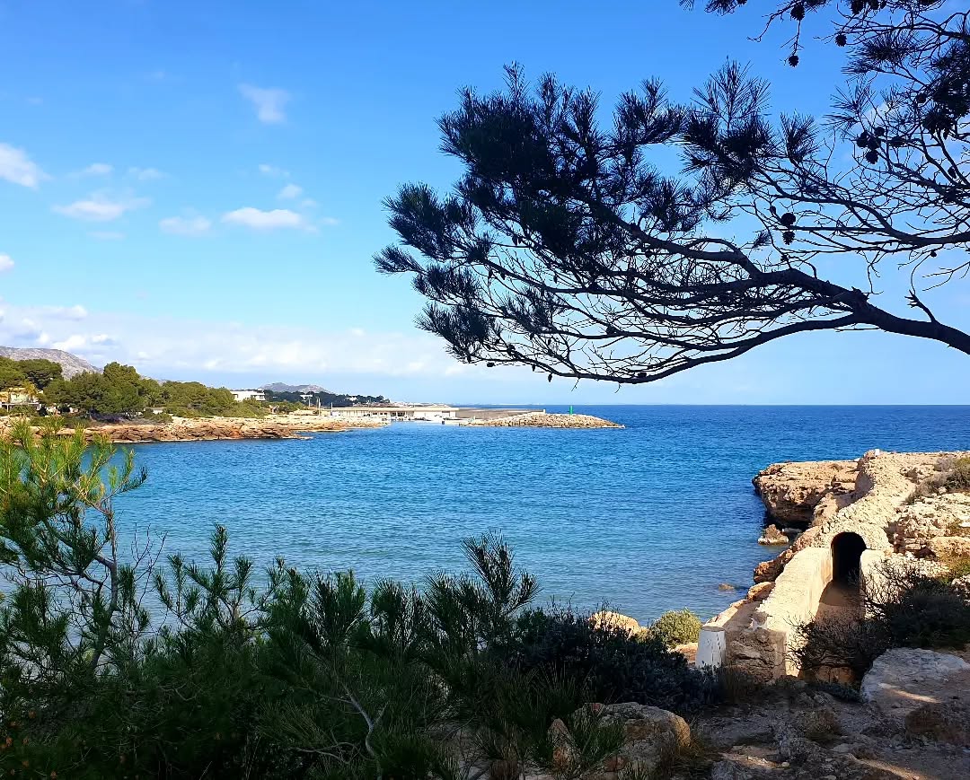 🏖️ La platja de Sant Jordi, a prop dels vestigis del castell de l'Orde de Sant Jordi d'Alfama, és de sorra fina i daurada i està integrada en un paratge natural de gran valor.

👉 tuit.cat/RsEg2

📸 villanuriatrescalas, munsamagri, elisabethswiatczak

#AmetlladeMar