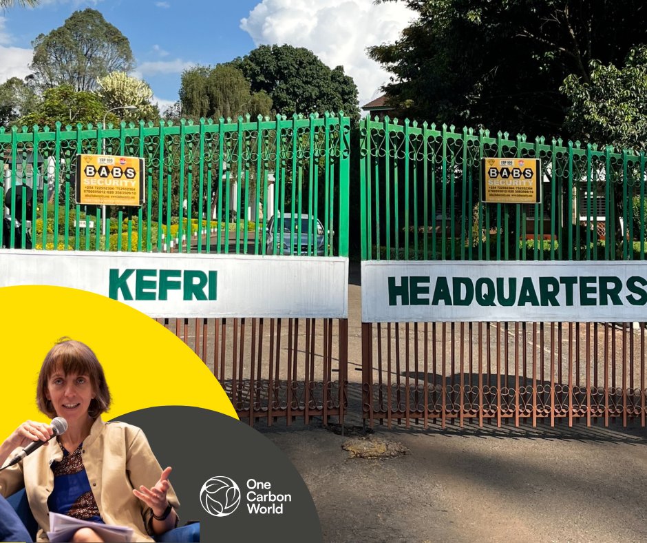 In her latest article, our Africa Director Madeleine Garlick explores the People Equation - the delicate, vital interplay between science, trust, and human-centered climate action.

Read here: ow.ly/KnqU50WcGZJ