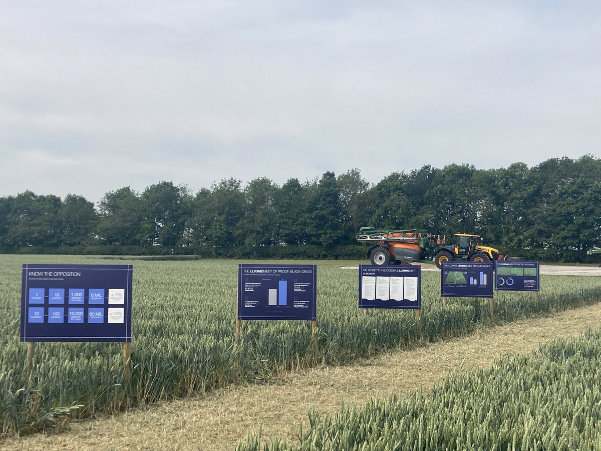 Matthew Keane tweet media