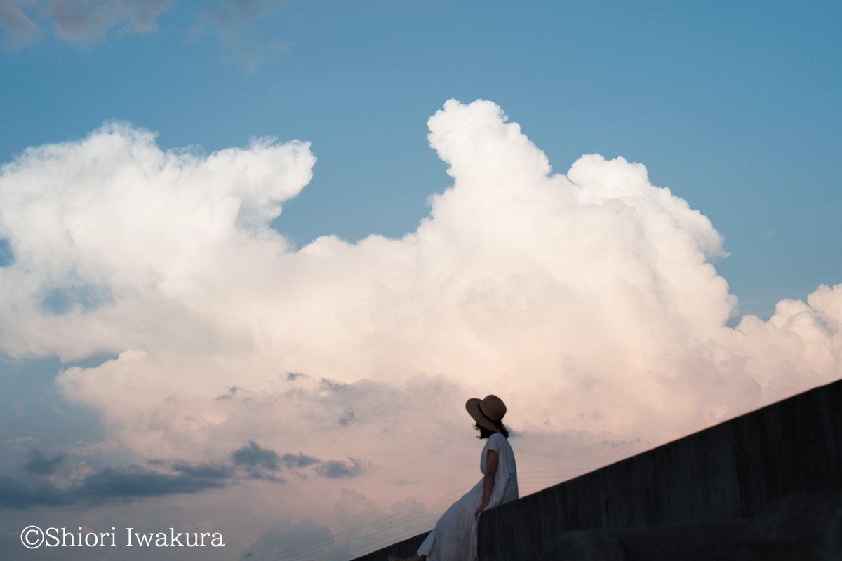 株式会社リベラル社【公式】 tweet media