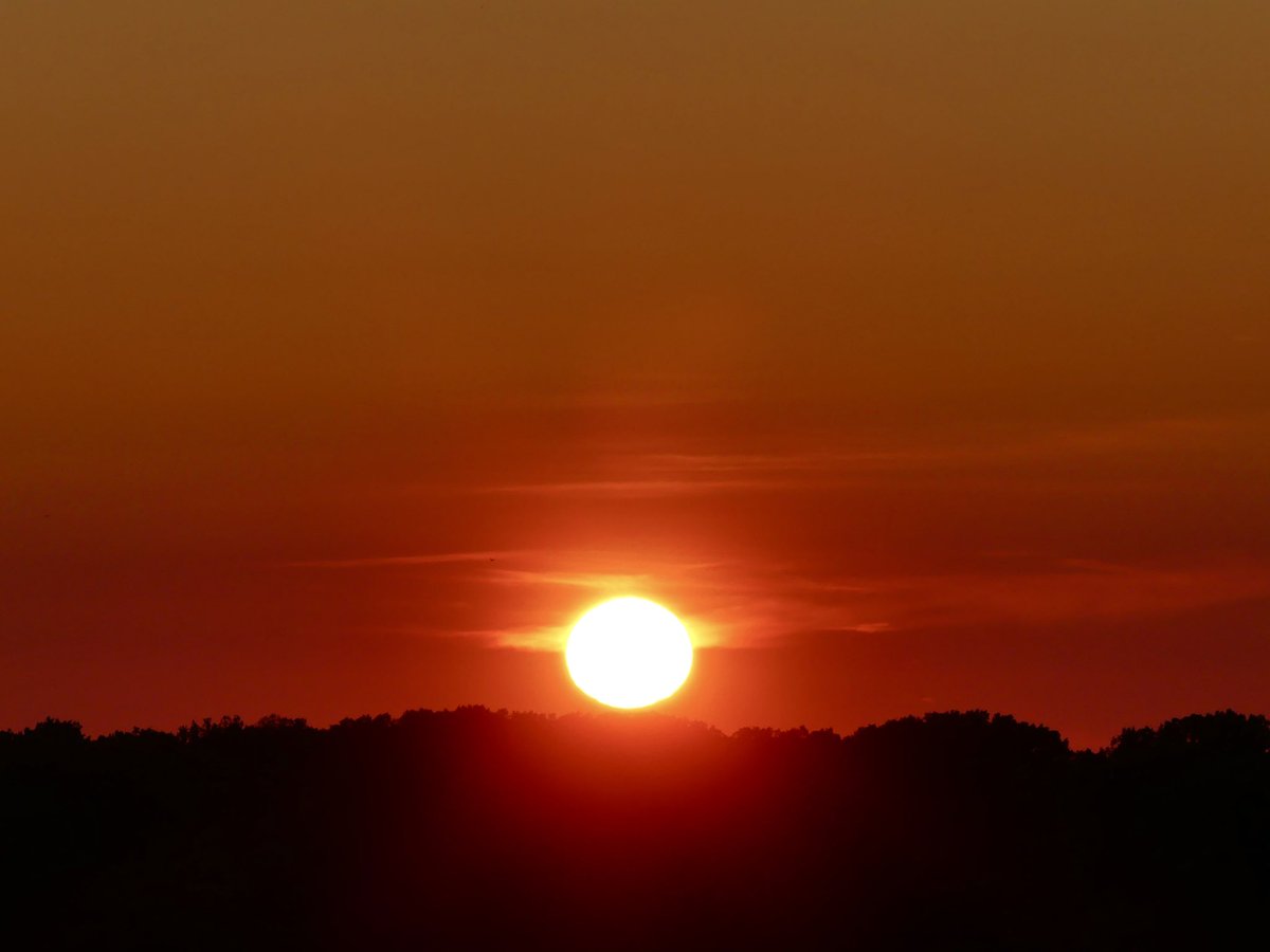 Conthescene's tweet image. Summer solstice sunrise over Rock Creek Park in DC 馃寘