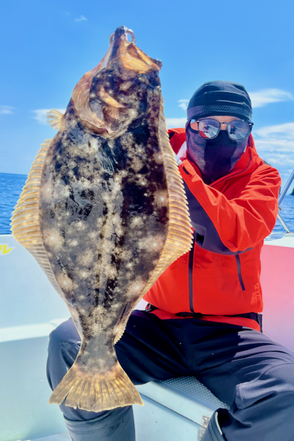 Atuy_fishing's tweet photo. バレーヒル
ベイドライブシリーズ
北海道スペシャルカラー
#H04 カタクチゴールド
ヒラメの大好物のカタクチイワシが豊富で
朝マズメや夕マズメなどの光量が少ない時に
適したナチュラルカラーとして提案
お客様がこれを使って60cmを釣り上げました。
ホント作ってよかったカラーです😄 https://t.co/1KyCzzbfDE