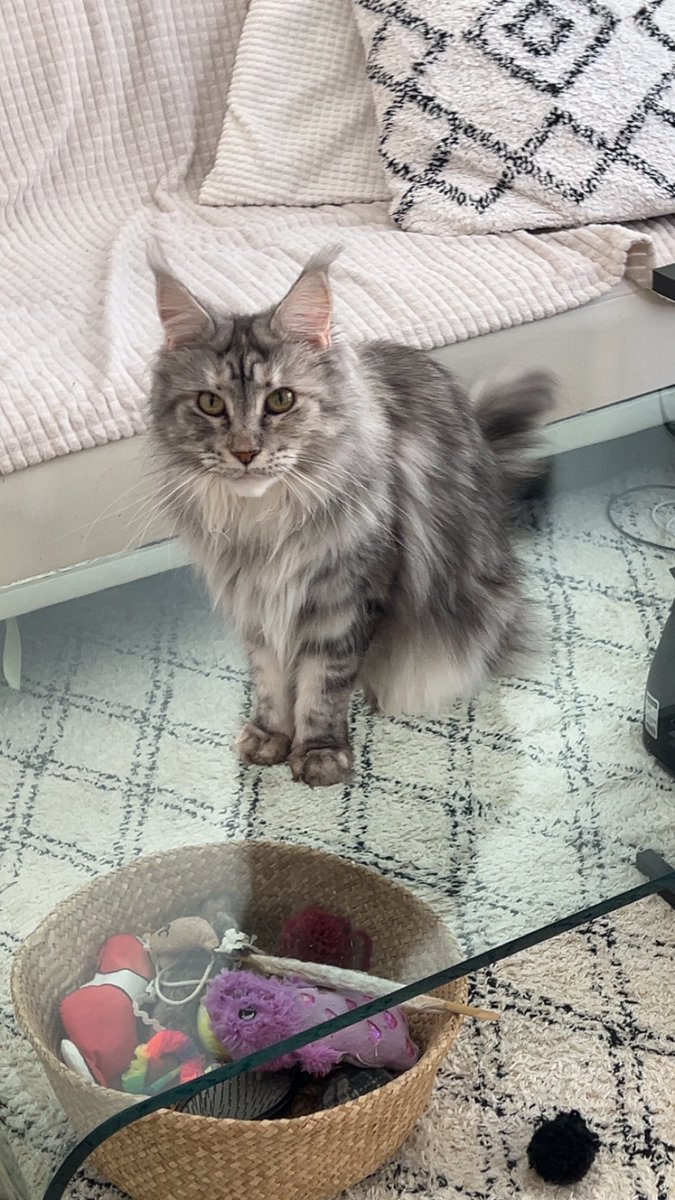 Hyvää juhannusta kaikille 🌸🥰