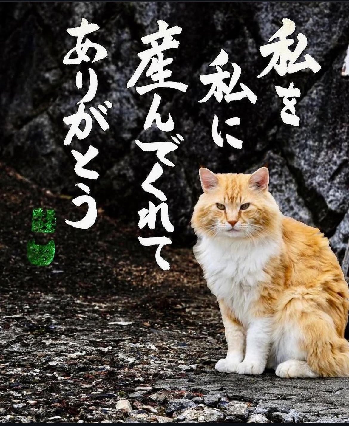 【専用】ヒゲのねこさん❤ 猫ヒゲけーす - Search / X