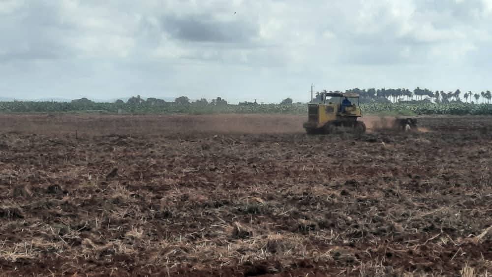 Recorre Jose Ramón Monteagudo Ruiz Miembro del Secretariado del CCPCC y Jefe del Departamento Agroalimentario las áreas de preparación y siembras en el polo productivo La Cuba #CiegoEn26 #LatirAvileño #SinPerderUnDía #GenteQueSuma