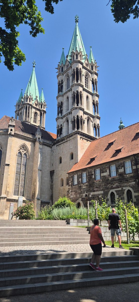 Der #Puma wurde am Naumburger Dom gesehen
