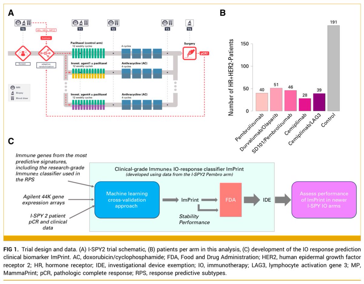 🔥 Breakthrough in HR+HER2– Breast Cancer!

🧬 In I-SPY2 trial (n=395), ImPrint, an mRNA-based immune classifier, predicted response to neoadjuvant immunotherapy (IO) in high-risk HR+HER2– patients.

🔹 pCR with IO:
➡️ 75% in ImPrint+ vs 17% in ImPrint–
➡️ &gt;90% pCR in best