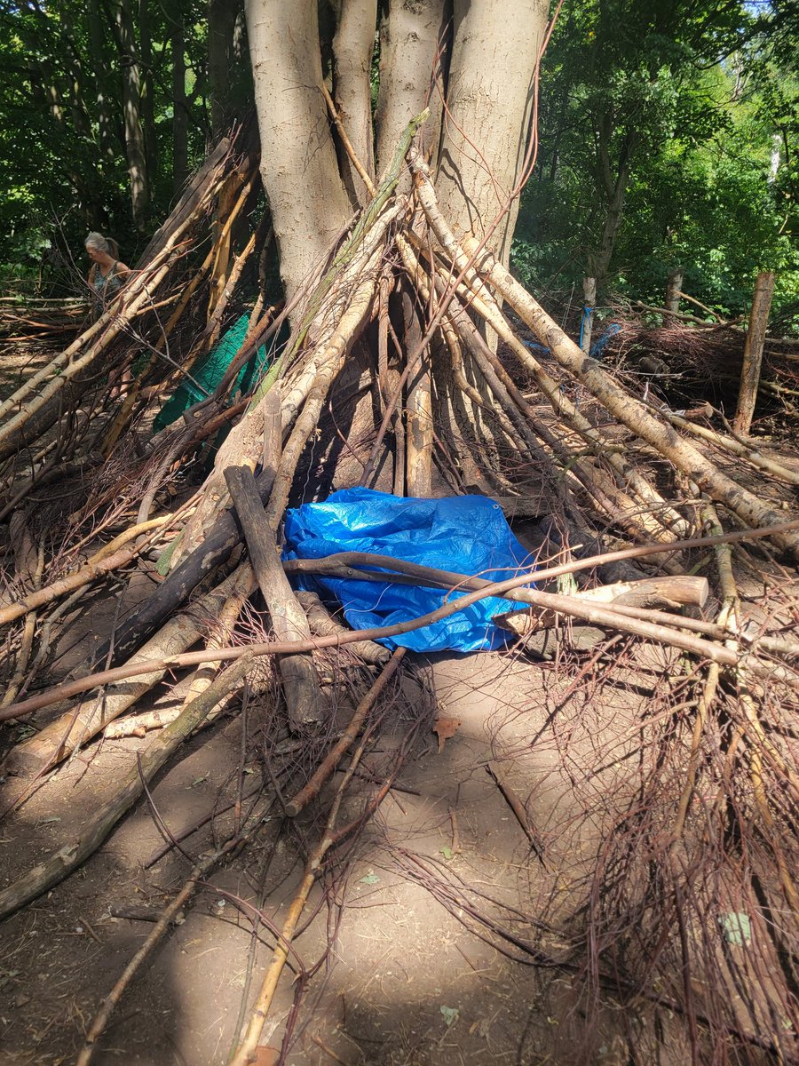 Den 5
Features a seat, parkour area, camp fire and a predator viewing platform ...