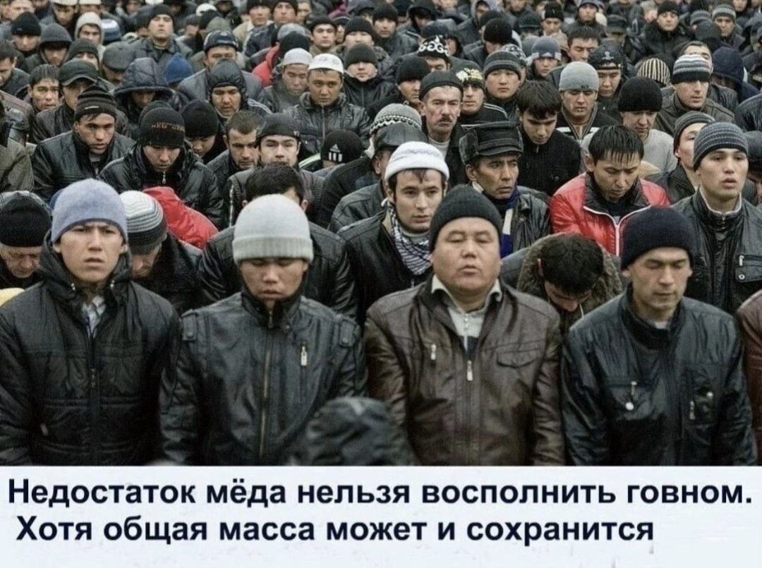 🔥Руководитель Главуправления по вопросам миграции МВД РФ Валентина Казакова в рамках ПМЭФ: за 2024 год в РФ из зарубежья прибыли свыше 6 млн мигрантов.

Половина мигрантов заявила о посещении РФ для трудовой миграции. Что делает в РФ вторая половина?!🤦‍♂️