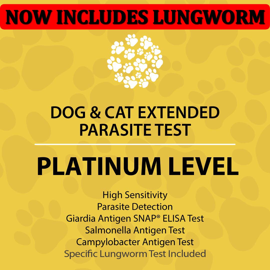 Dog and Cat SILVER, GOLD and PLATINUM Levels now include SPECIFIC LUNGWORM TESTING.