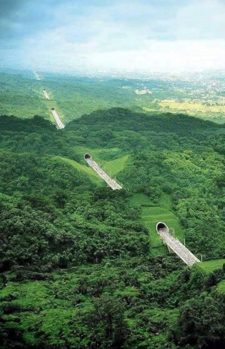 Peshawar
"This is Taiwan — where development didn't come at the cost of nature. First, a tunnel was constructed underground. Then, the surface was restored by covering it with soil and replanting trees. After some time, everything looked completely natural again — as if nothing