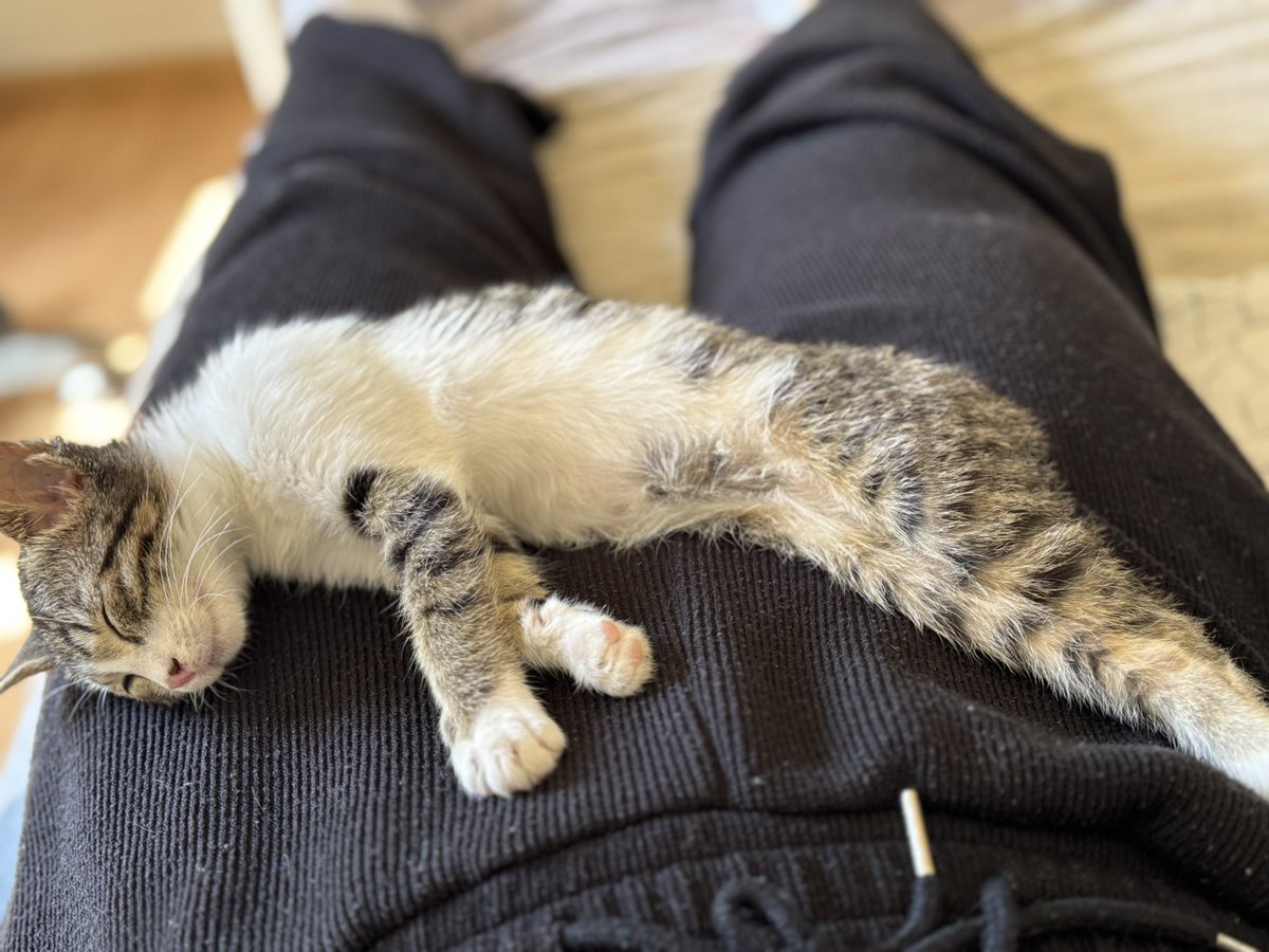 They call it manipulation. I call it masterclass strategy. 😼

Work smart, not hard