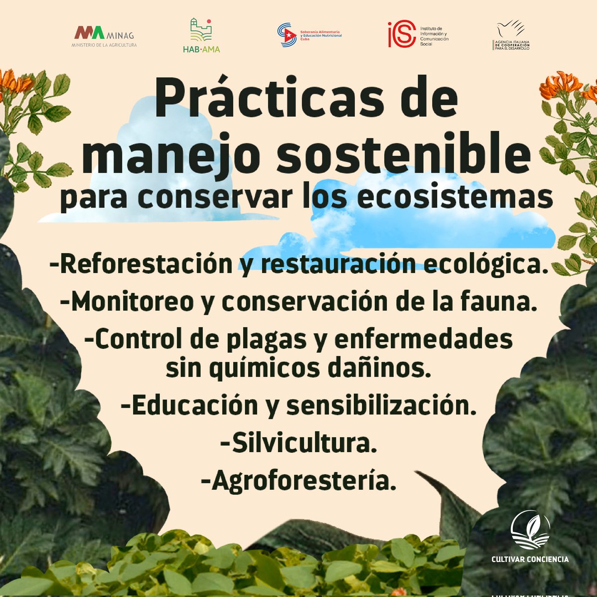 El uso de prácticas de manejo sostenible permite conservar los ecosistemas manteniendo sus funciones y biodiversidad sin agotar los recursos naturales. 
🔸¿Qué prácticas se pueden implementar? Le comentamos. 🌱🍃♻️

#Cuba #SoberaníaAlimentaria #CultivarConciencia