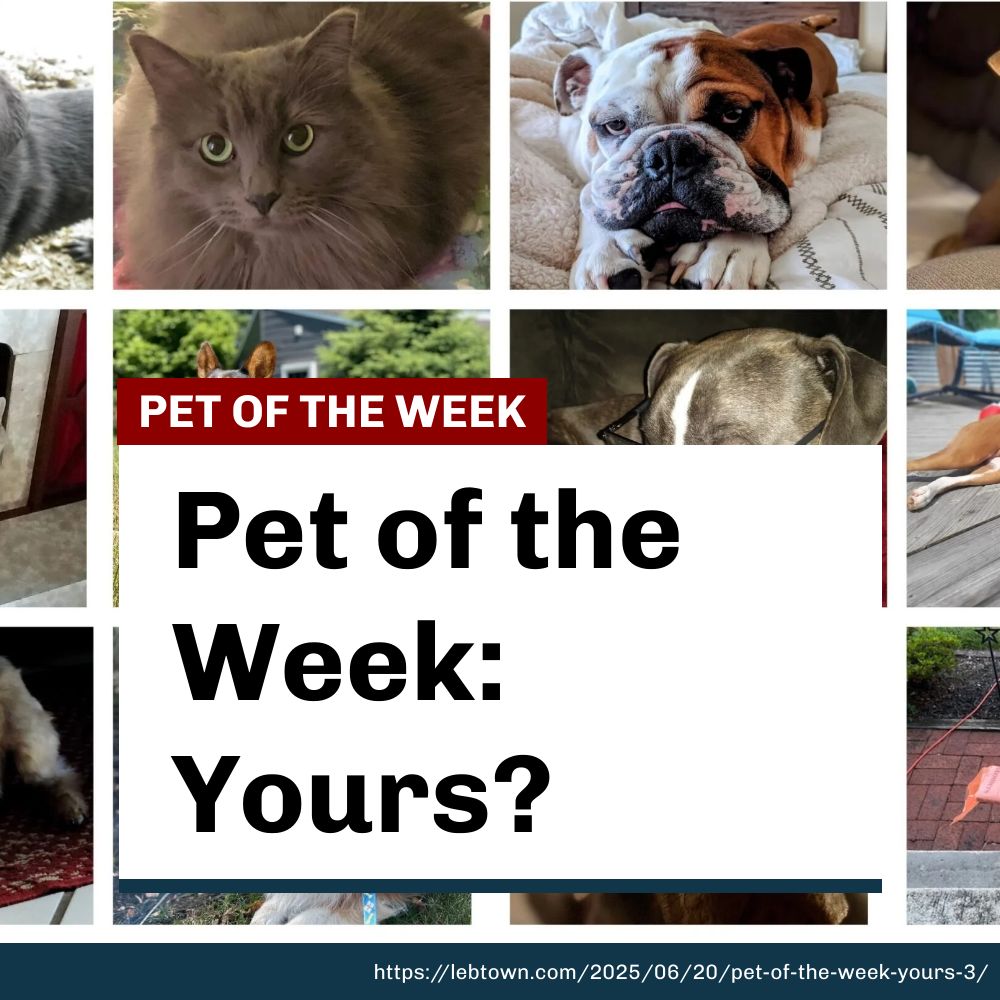 This week, meet …? lebtown.com/2025/06/20/pet…