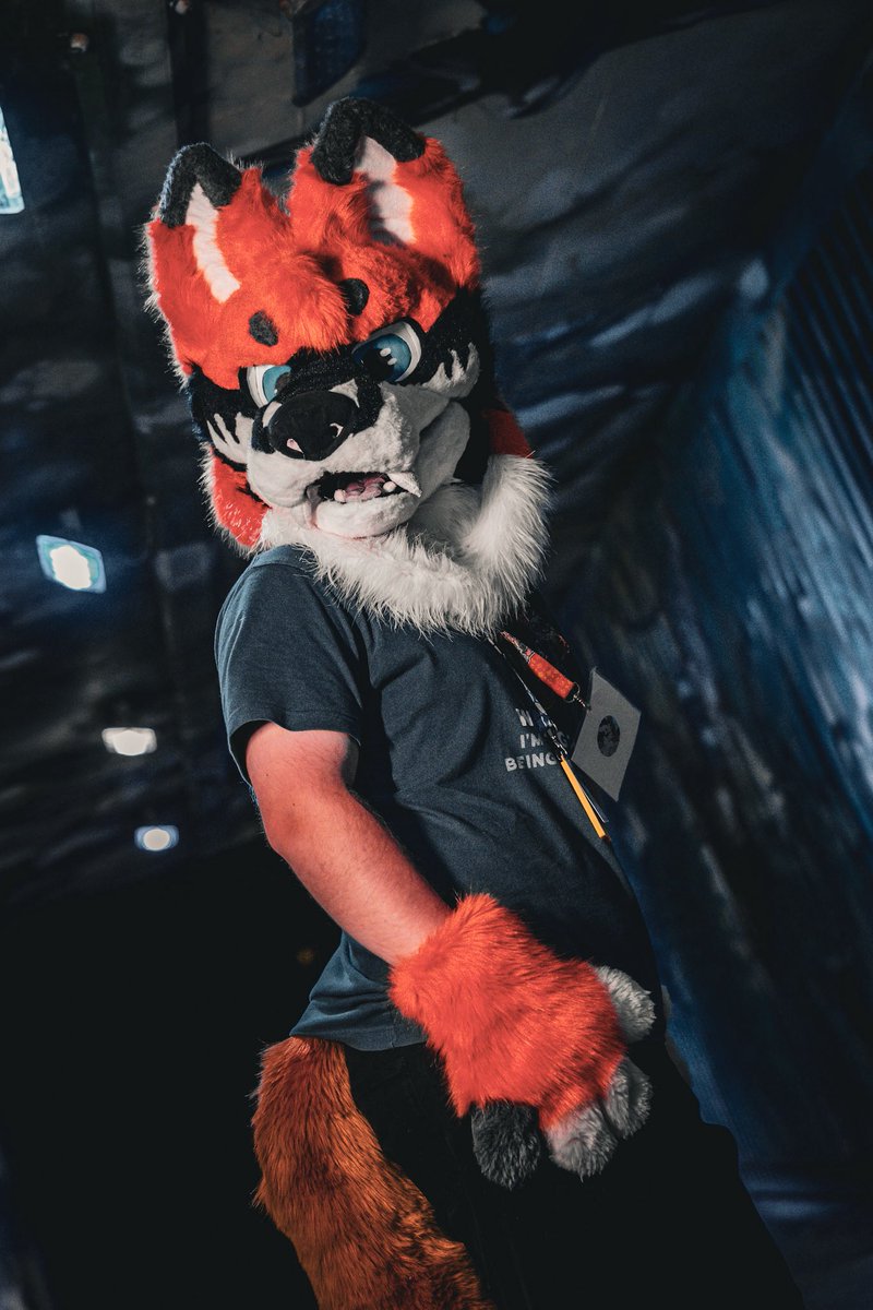 RukiFox/Solo AWD (@redfoxruki) on Twitter photo No light at the end of this tunnel, just me.
#FursuitFriday
๐ธ <a href="/NeapolitanPubby/">๐จSundae๐ฆ ๐ CFZ</a> No light at the end of this tunnel, just me.
#FursuitFriday
๐ธ <a href="/NeapolitanPubby/">๐จSundae๐ฆ ๐ CFZ</a>