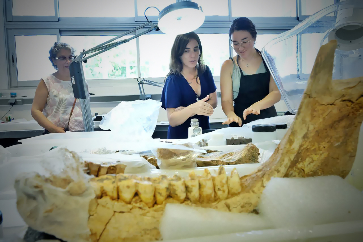 Recerca i Universitats tweet media