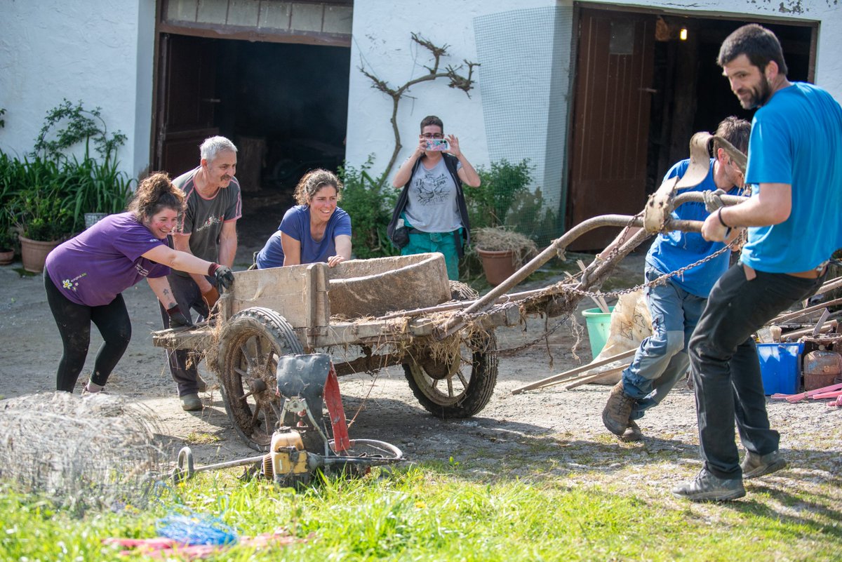 Auzolana egingo dute igandean Amillubin.
danbolin.eus/auzolana-eging…