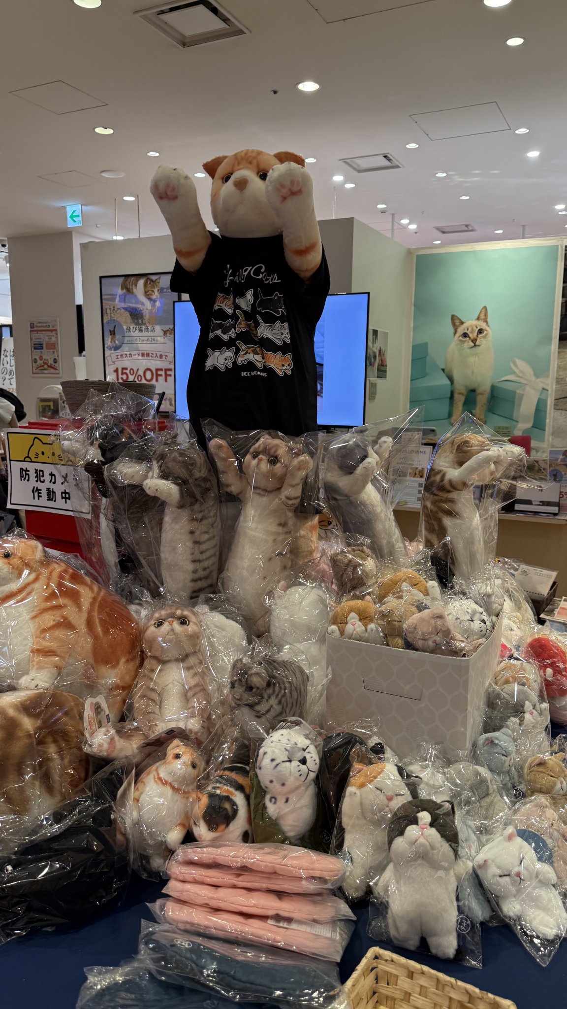 青猫本舗＊即購入OK＊ aoneco 猫柄 がま口財布 長財布 アオネコ 日本製 レディース 本