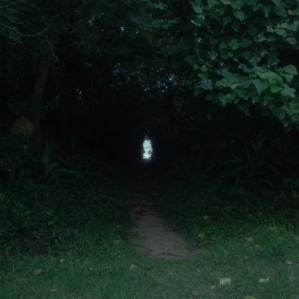 こんばんは。New Single"海へ(とおあさver.)"が6月27日に配信リリース、さらに7月7日には音源DLコード付ポストカードセットが発売されます。ご予約受付中です。詳細は以下のポストをご覧ください。
buoy.official.ec/items/11088170…