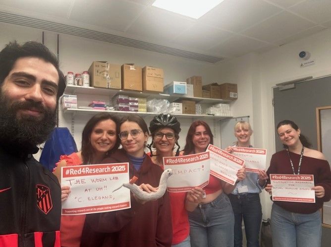 UHertsResearch's tweet image. 🔬 Science, society & discovery! Leisha stopped for lunch with Louca-Mai (CRIPPACC) to talk participation, then visited the #Celegans lab at Nexus with Maria and team 🧬Bold research, real impact. #Red4Research2025