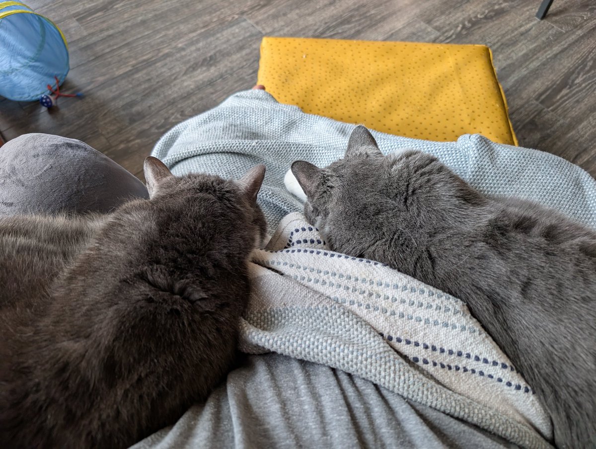 Well, guess I can't work now.